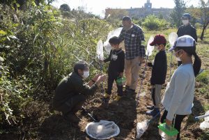 1．草地の昆虫観察